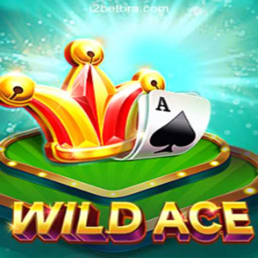 Unveiling the Excitement of WildAce: Explore the Official Slot Experience in Brazil